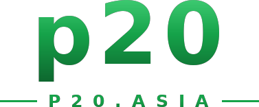 p20 logo
